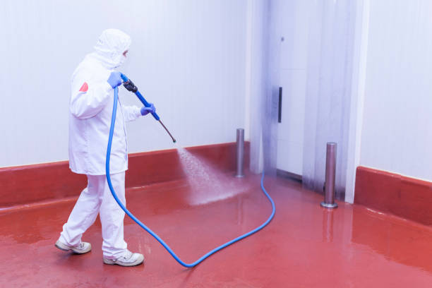 Best Post-Construction Pressure Washing  in Montrose Ghent, OH